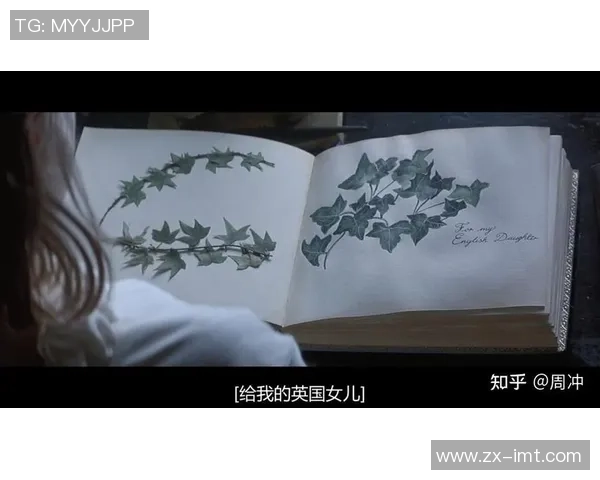 平凡妻子背后的足球明星故事与人生启示